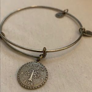 Alex and Ani bangle bracelet